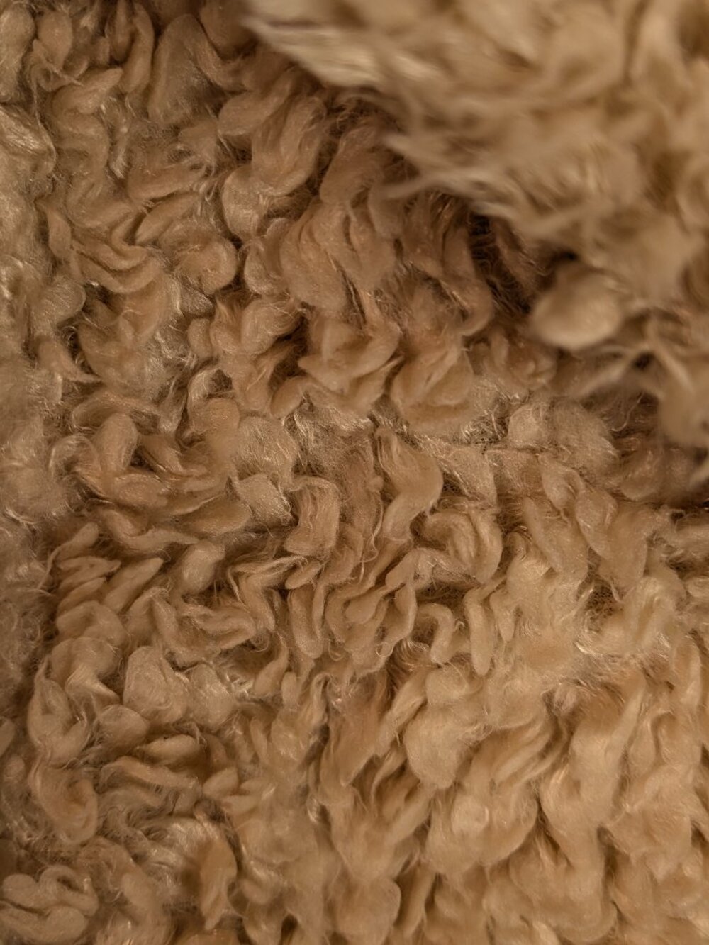 Teddy Faux Fur Jacket Beige Notched Lapel L Patch Pockets Cozy Minimalist H&M - Picture 5 of 14